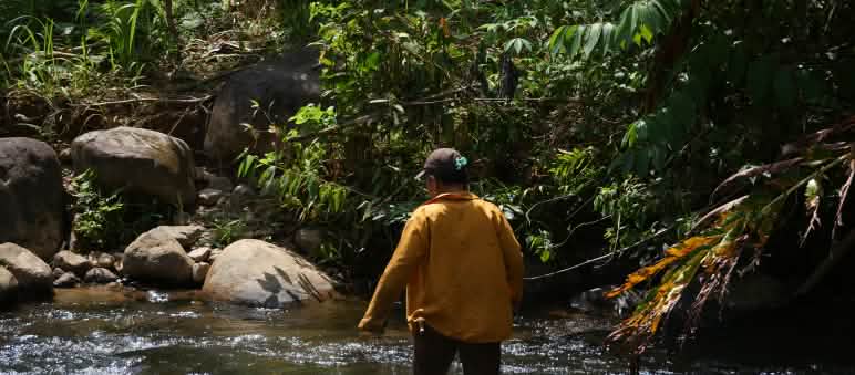 Sungai Wani-wani