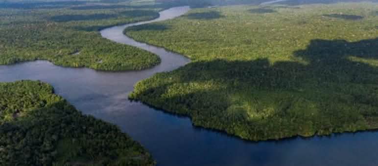 pulau berhutan dan jalur laut