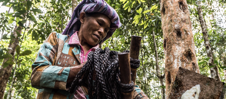 Seorang ibu Batak dengan getah pohon kemenyan