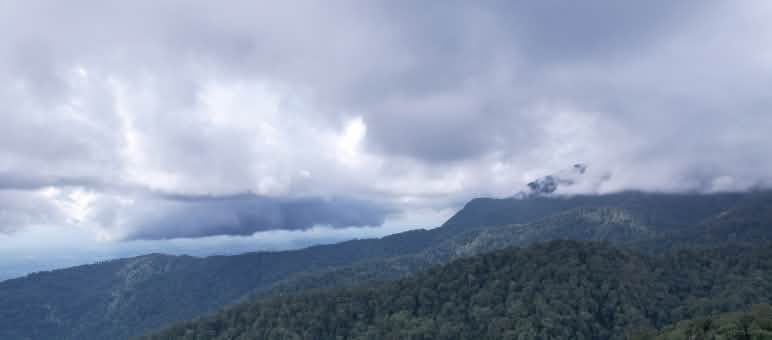 hutan di pergunungan
