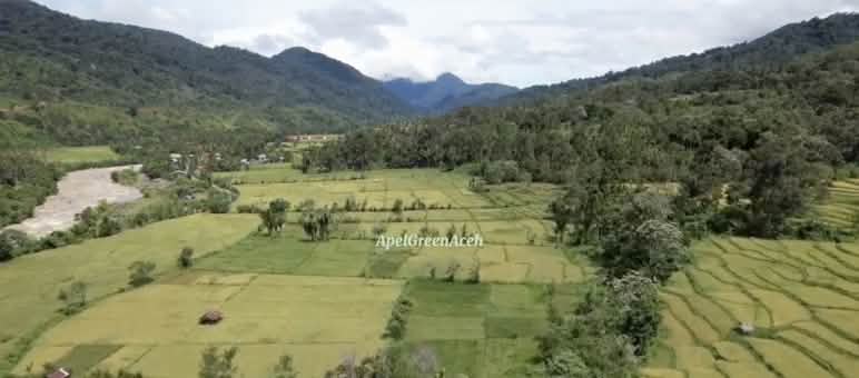 Screenshot: Lembah sungai dengan ladang luas yang dikelilingi hutan