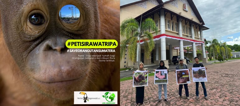 Poster dengan logo