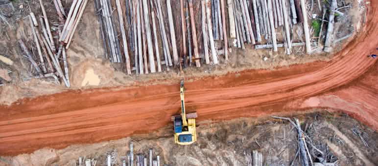 Korindo telah mengkonversi hutan hujan di Papua menjadi perkebunan sawit Foto dari udara: Ekskavator di lahan yang telah dibuka untuk perkebunan sawit milik perusahaan Korindo di Papua.