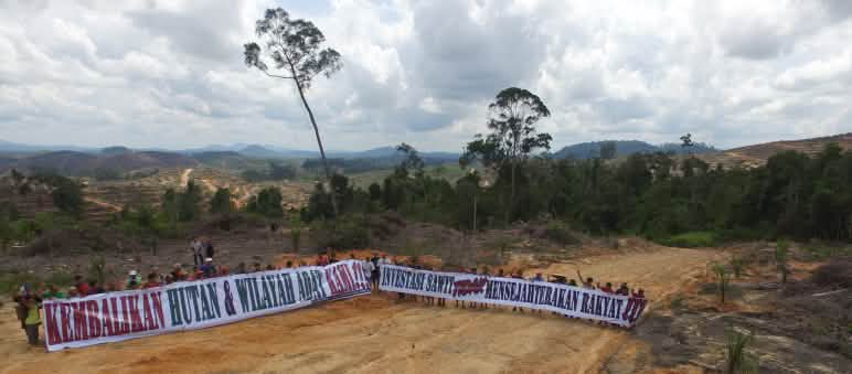 Protes menentang kebun sawit bagi perlindungan iklim di Kalimantan Protes menentang minyak sawit di hutan hujan Kalimantan