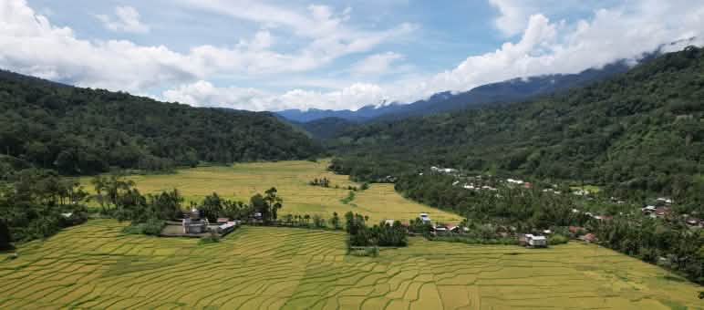 Lembah dengan sawah dan ladang, gunung dengan hutan