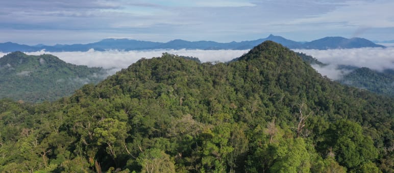 Transparen raksasa dari jauh