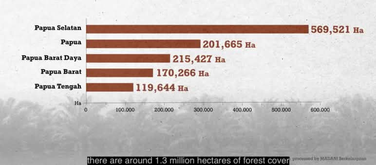 Grafik hutan hujan dimana perusahaan-perusahaan minyak sawit memiliki konsesi