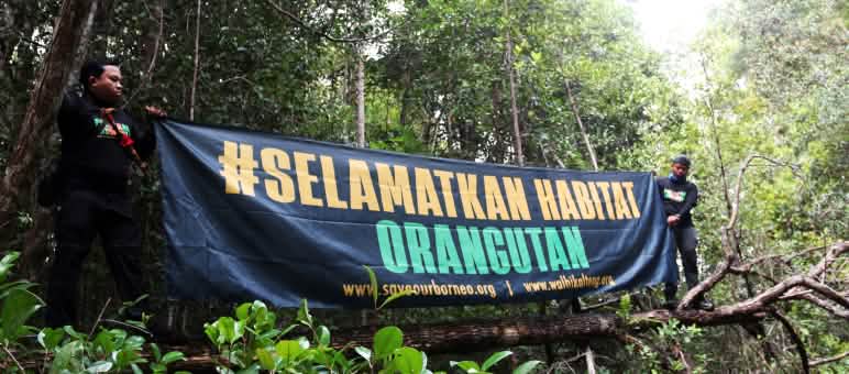 Spanduk besar didepan hutan