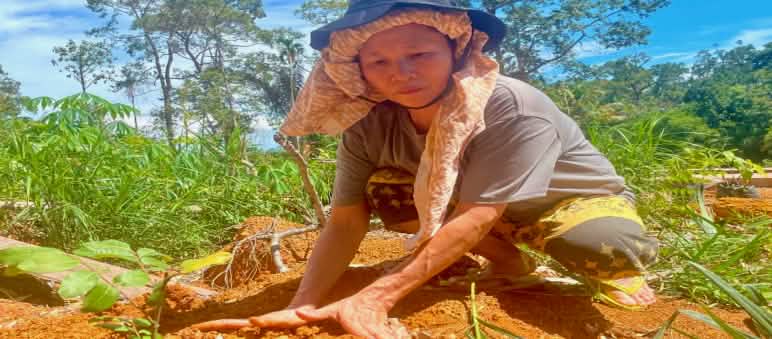 Seorang ibu sedang berjongkok menanam bibit