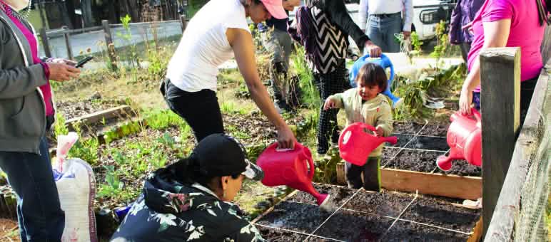 Kedaulatan pangan: Otros Mundos telah mengorganisir kebun sayur keluarga perkotaan di San Cristóbal de las Casas, Chiapas. Disamping itu Otros Mundos melibatkan diri menentang mega proyek di Meksiko. Kebun sayur di San Cristobal