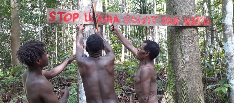 tiga orang Papua membela hutan