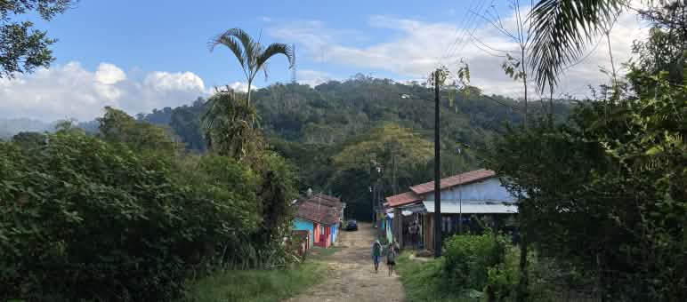 Beberapa rumah dengan jalan bertanah di dalam hutan hujan