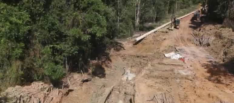 Foto pembangunan saluran pipa bauksit di hutan hujan dengan eskavator yang mengaduk-aduk tanah dan meletakkan pipa
