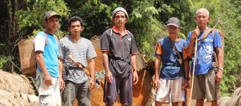 Kami menolak: hutan hujan yang kaya raya diganti dengan monokultur sawit Masyarakat adat Dayak Tomun dari Laman Kinipan