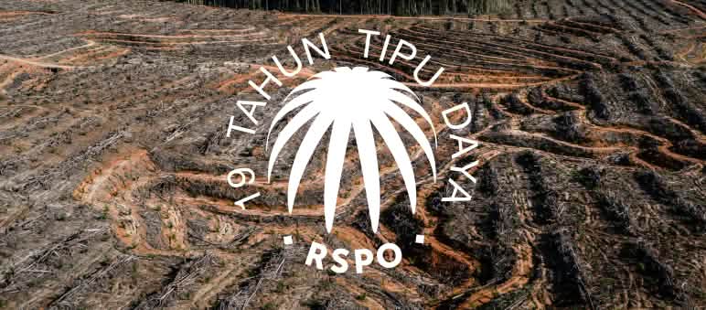 Hutan hujan habis ditebang untuk perkebunan kelapa sawit Kolase Label RSPO diatas HGU