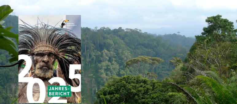 Laporan tahunan 2025 judul di depan hutan