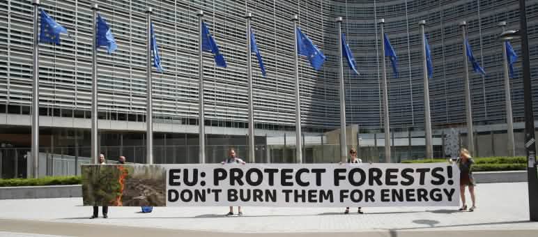 Pelindung lingkungan berprotes di depan gedung Komisi UE di Brussel dengan spanduk bertuliskan “UE: Lindungi hutan! Jangan bakar hutan bagi pabrik pembangkit listrik” Penyerahan petisi di Brussel