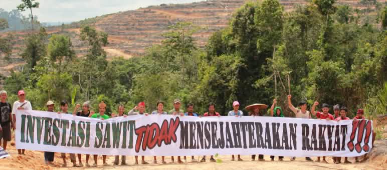 Warga Kinipan melawan deforestasi dan sawit