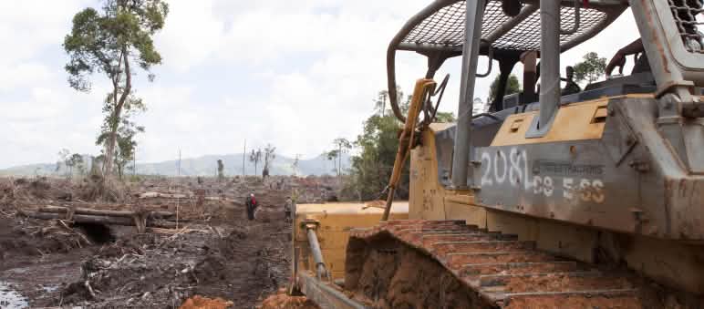 bulldoser merusakkan hutan