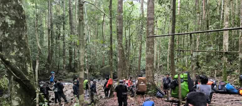 kelompok pendaki di dalam hutan