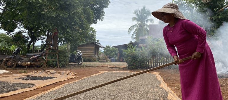 Merica ditabur di atas tikar besar dan dikeringkan