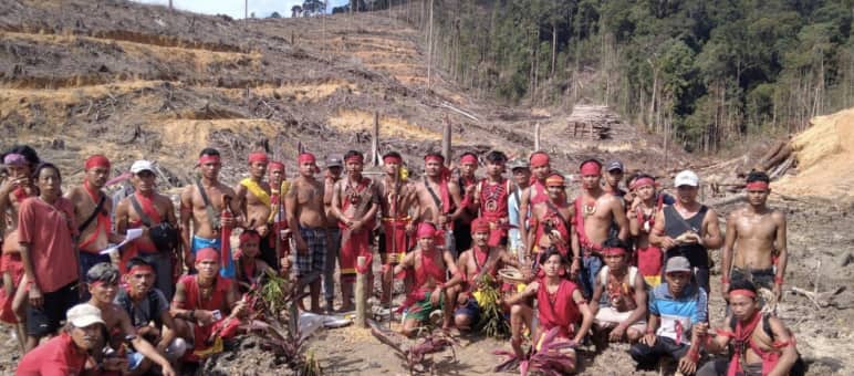 Masyarakat adat Dayak di lokasi penebangan