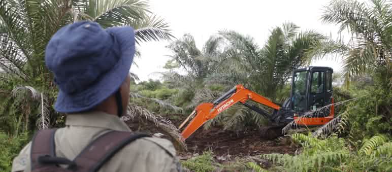 Rawa Tripa: Pembalakan liar yang terorganisir, pembukaan lahan secara sistematis Ekskavator di HGU, depan ada laki-laki pakai ransel