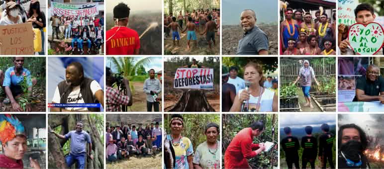 Mitra Selamatkan Hutan Hujan: Perlindungan hutan membutuhkan tangan dan otak Kolase mitra RdR