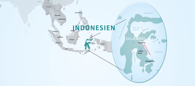 Peta Sulawesi