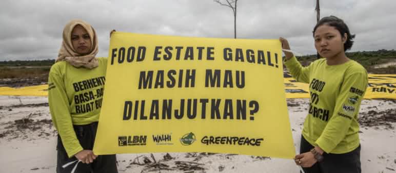 Proyek food estate gagal dan memperparah krisis pangan dan krisis iklim dua perempuan dengan spanduk "Food Estate gagal"