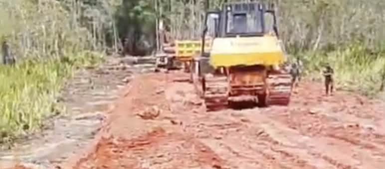 ekskavator membangun jalan di hutan hujan