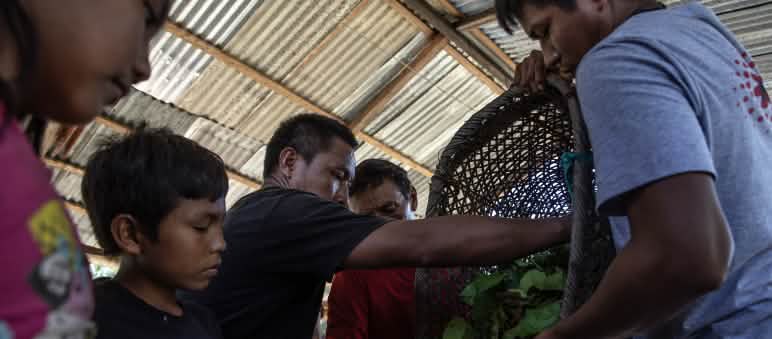 Beberapa orang menuang bahan tumbuhan dari keranjang