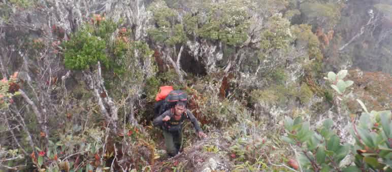 Para ranger dengan tas ransel di medan yang berat