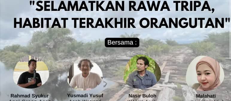 Poster Webinar "Selamatkan Rawa Tripa, Habitat terakhir Orangutan"