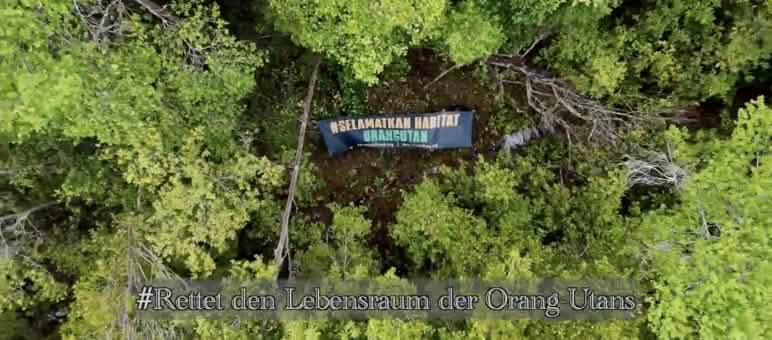 Spanduk "Selamatkan Habitat Orangutan"
