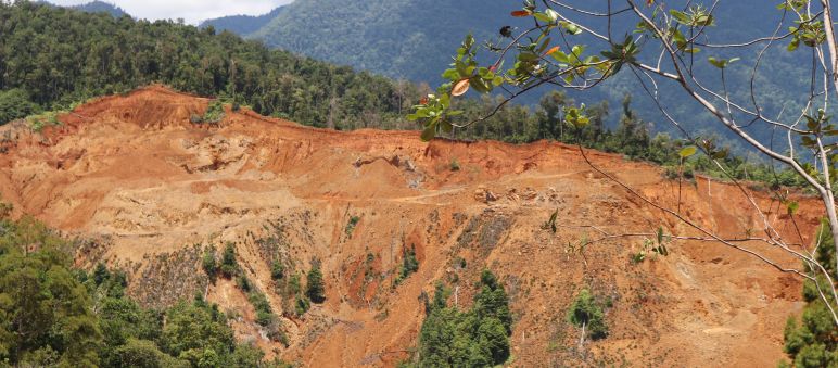 Tambang nikel merusak cagar alam Morowali