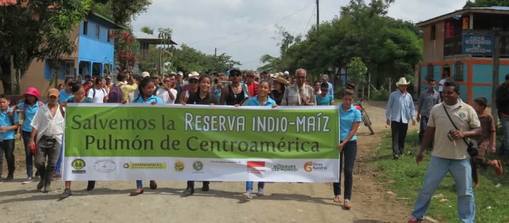 Aksi damai untuk pelindungan cagar alam Indio-Maiz, Nicaragua