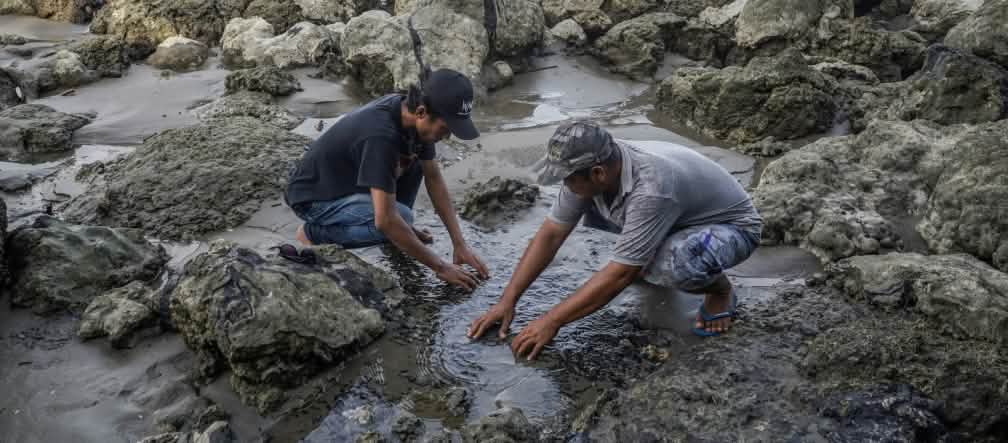 dua laki-laki di pantai yang tercemar oleh aspal cair