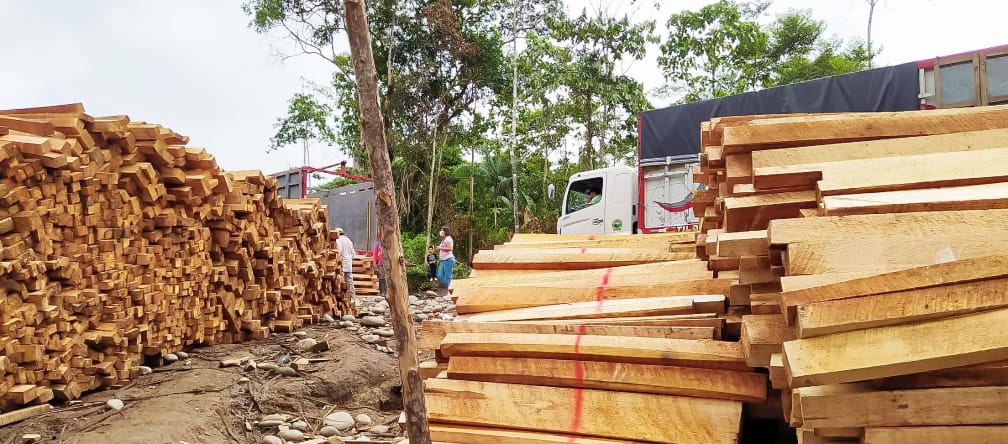 Kayu balsa ditumpuk