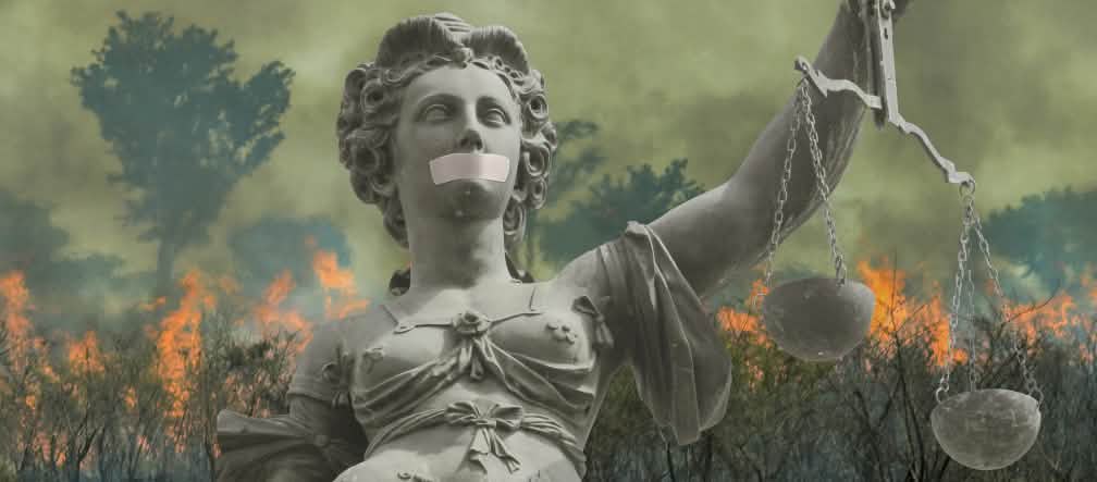 Kolase: Ratu keadilan di depan hutan hujan yang terbakar