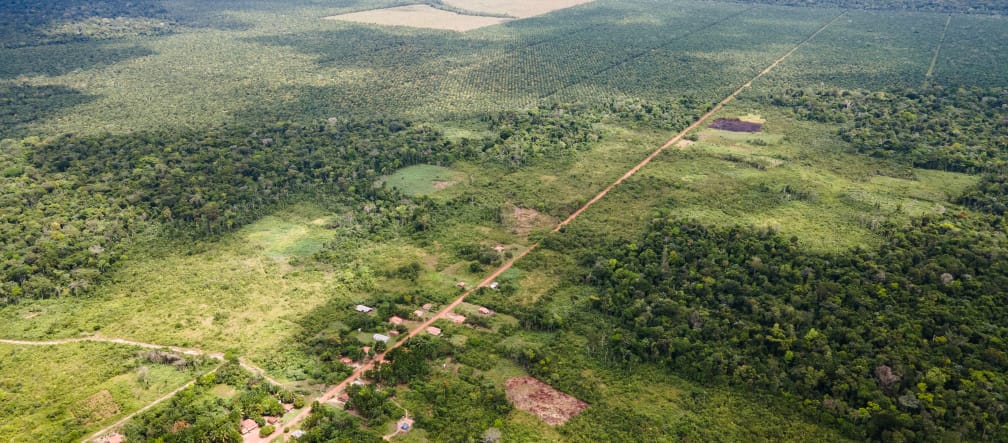 Tampak atas sebuah desa kecil disepanjang jalanan lurus, dibelakangnya perkebunan kelapa sawit yang dibangun setelah menebang hutan hujan.