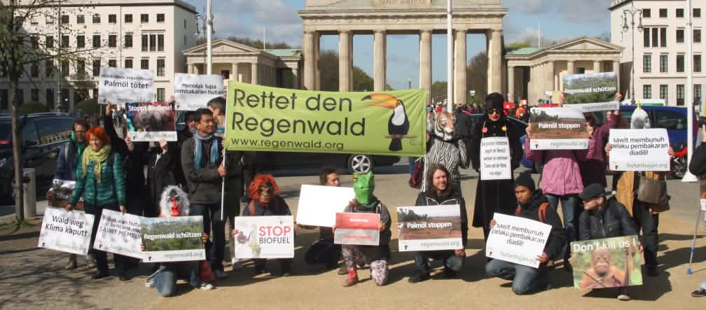 Aksi Selamatkan Hutan Hujan di Berlin Aksi hutan hujan - 18 April 2016 di depan Brandenburger Tor