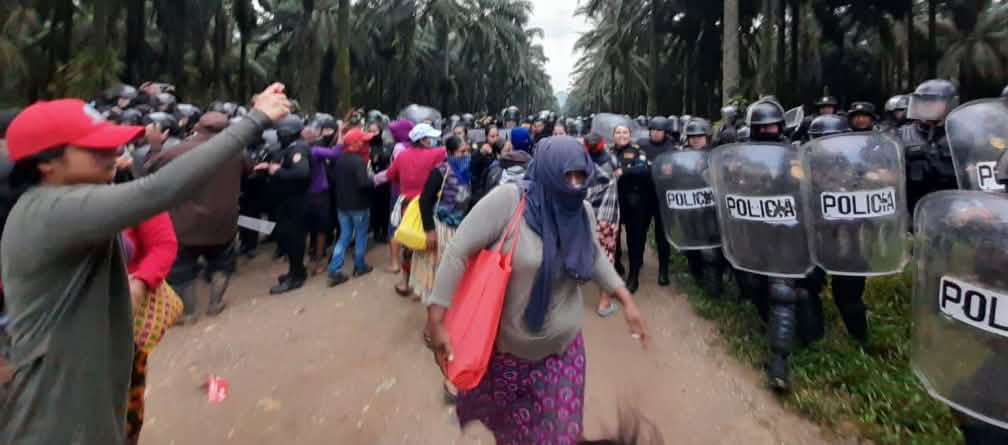 Sekelompok masyarakat Maya berprotes (sebelah kiri foto), sementara satuan polisi dengan helm dan perisai pelindung berdiri di bawah barisan pohon sawit (sebelah kanan foto)