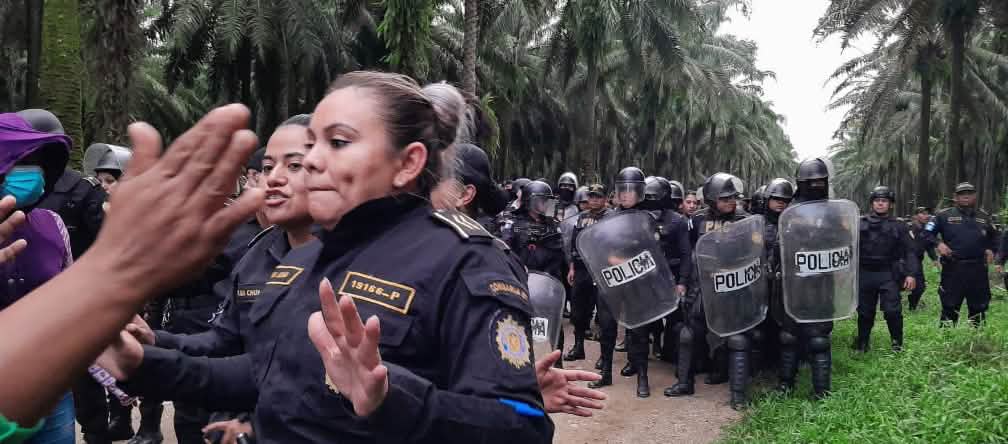 Barisan besar polisi dengan helm dan perisai pelindung bergerak maju di sebuah jalan tanah di kawasan sawit