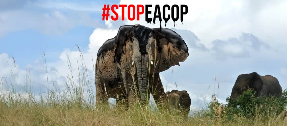 Montase: minyak bumi mengancam gajah - StopEACOP