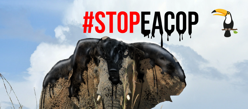 Montase: minyak bumi mengancam gajah - StopEACOP