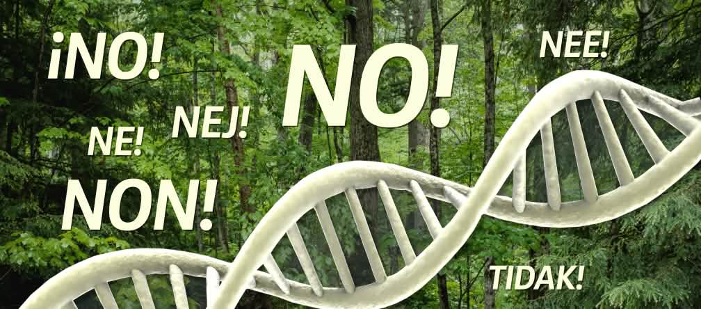 Pohon kastanye yang gen-nya dimanipulasi mengancam alam Kolase - DNA dalam hutan dan teks "NO"