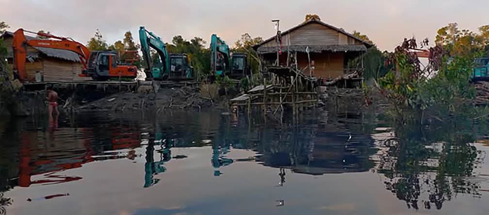 penebangan di pinggir sungai demi sawit