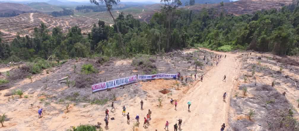 Masyarakat Kinipan melawan deforestasi dan sawit