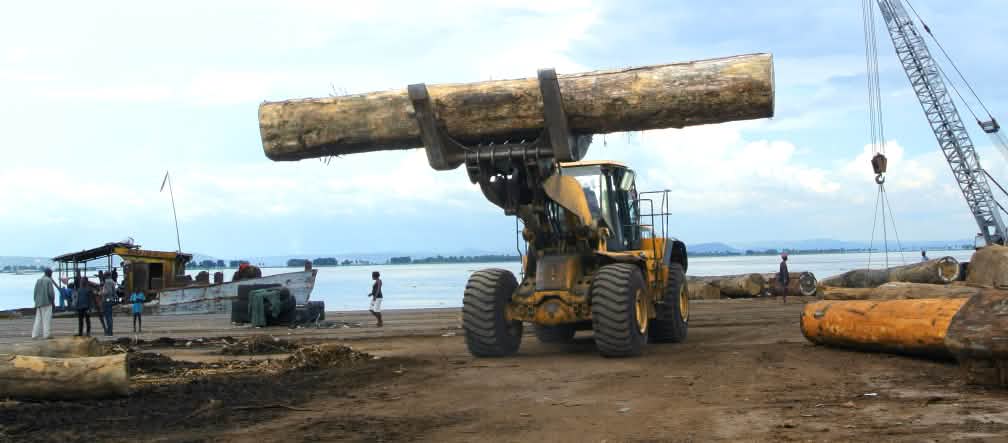 Pemuatan kayu di pelabuhan laut Kinshasa
